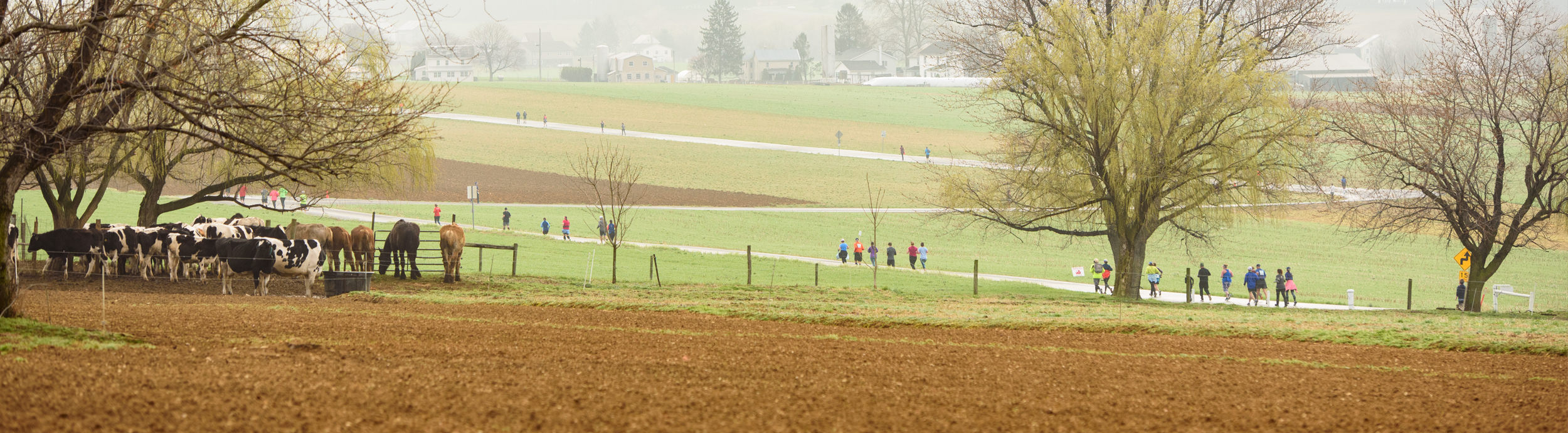 Home Garden Spot Village 1 2 Marathon 10k